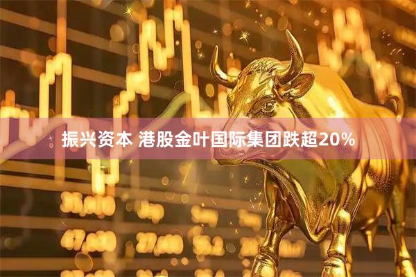 振兴资本 港股金叶国际集团跌超20%