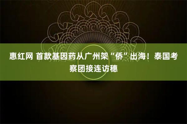 惠红网 首款基因药从广州架“侨”出海！泰国考察团接连访穗