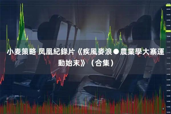 小麦策略 凤凰紀錄片《疾風麥浪●農業學大寨運動始末》（合集）