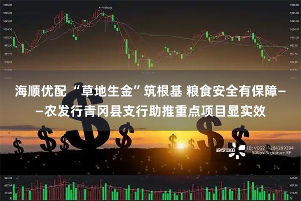 海顺优配 “草地生金”筑根基 粮食安全有保障——农发行青冈县支行助推重点项目显实效