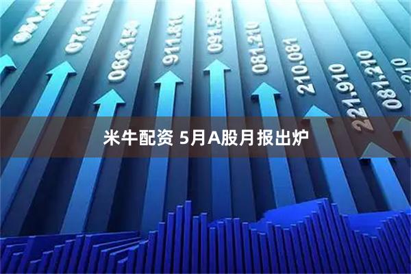 米牛配资 5月A股月报出炉