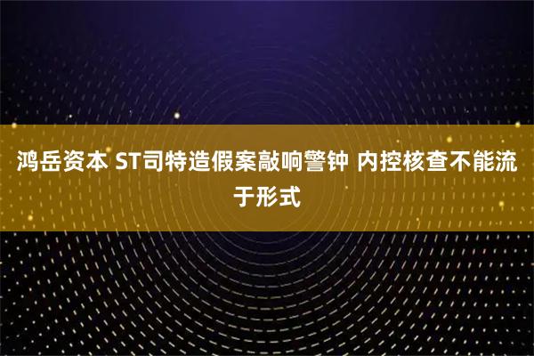 鸿岳资本 ST司特造假案敲响警钟 内控核查不能流于形式